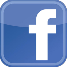 The Stingrays on Facebook